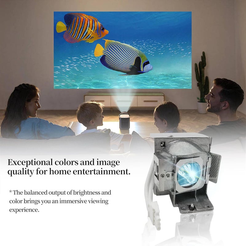 SORNEICDR RLC-085 RLC-078 Replacement Projector Lamp Bulb Compatible with Viewsonic PJD5533W PJD6543W PJD5134 PJD5132 PJD6235 PJD6245 PJD5234L PJD5232L PJD6246 Projector Lamp Bulb with Housing - Image 5